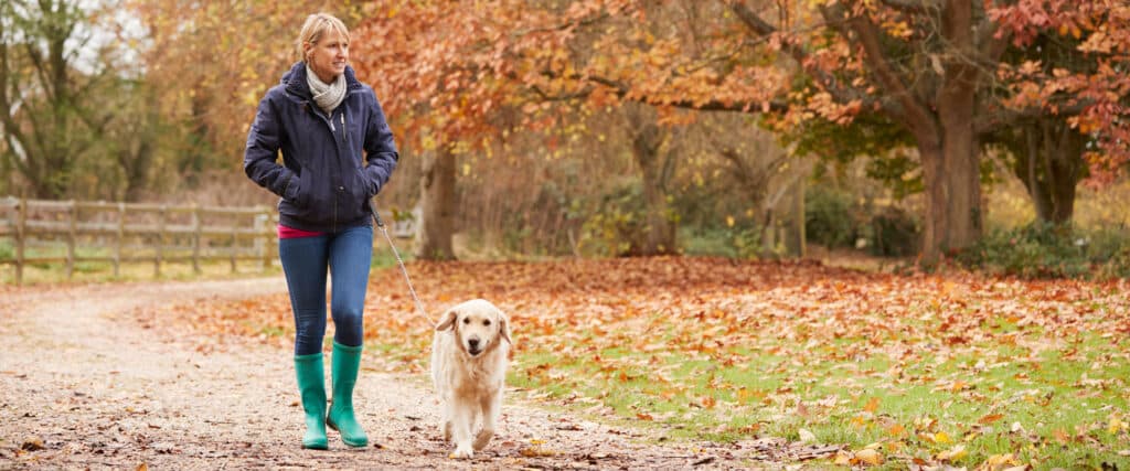 A woman walking her dog in an autumn park.